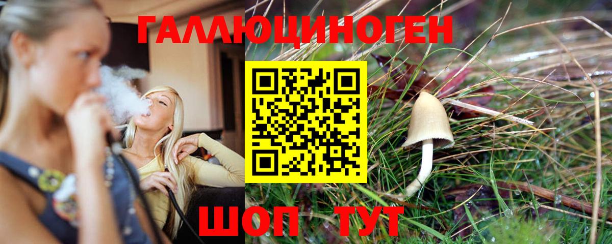 Галлюциногенные грибы мицелий Коркино